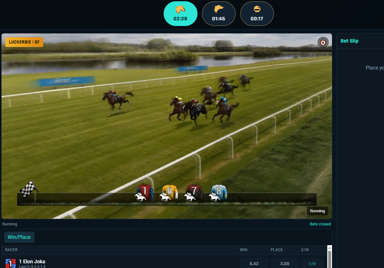Horse racing, dog racing, and virtual auto racing sports betting game