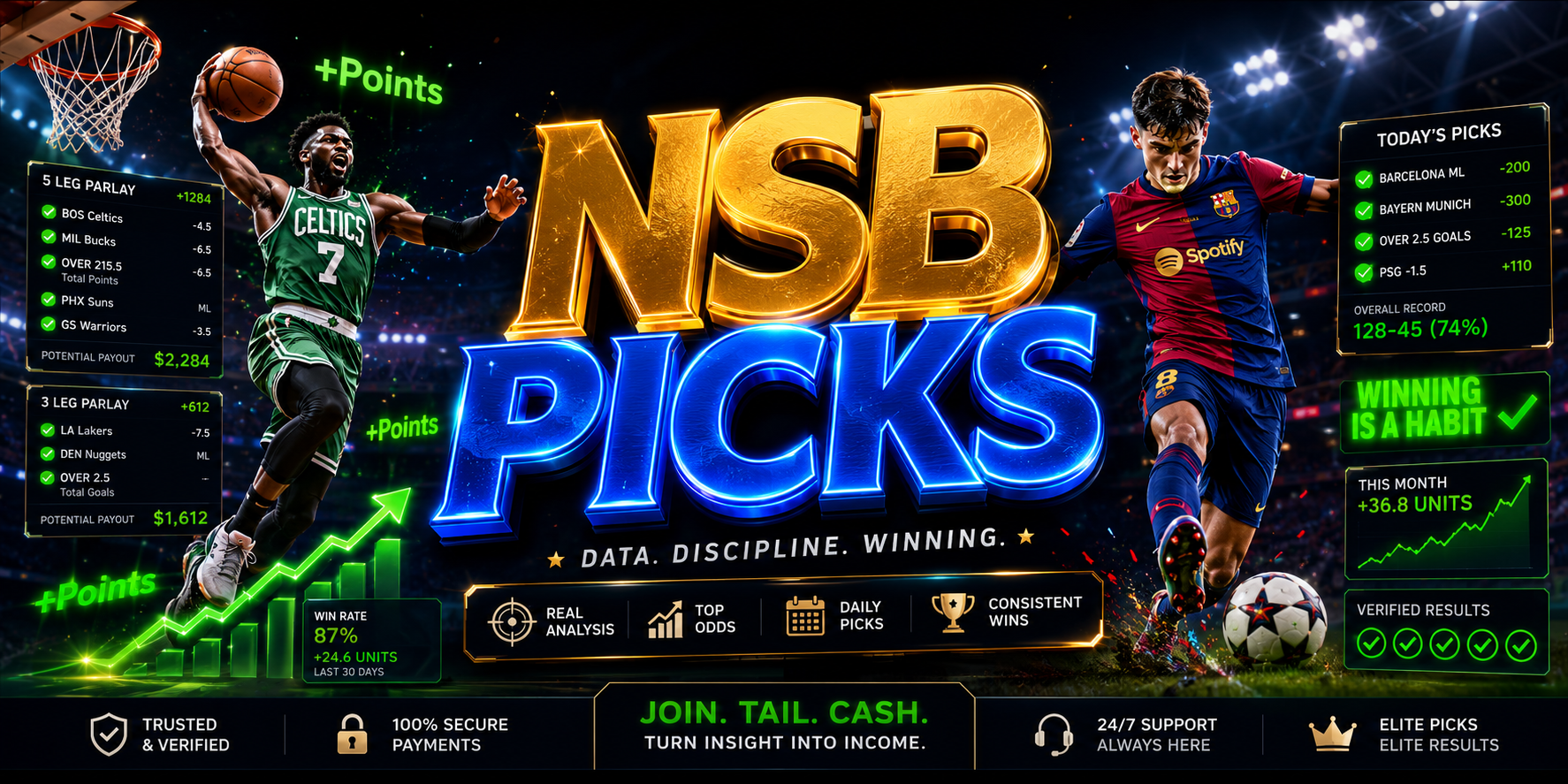 NSB PICKS VIP