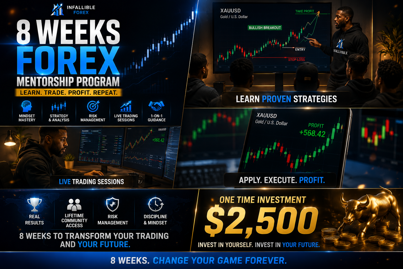 Infallible Forex Course