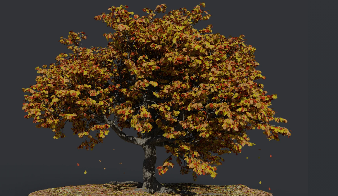 Oak Autumn