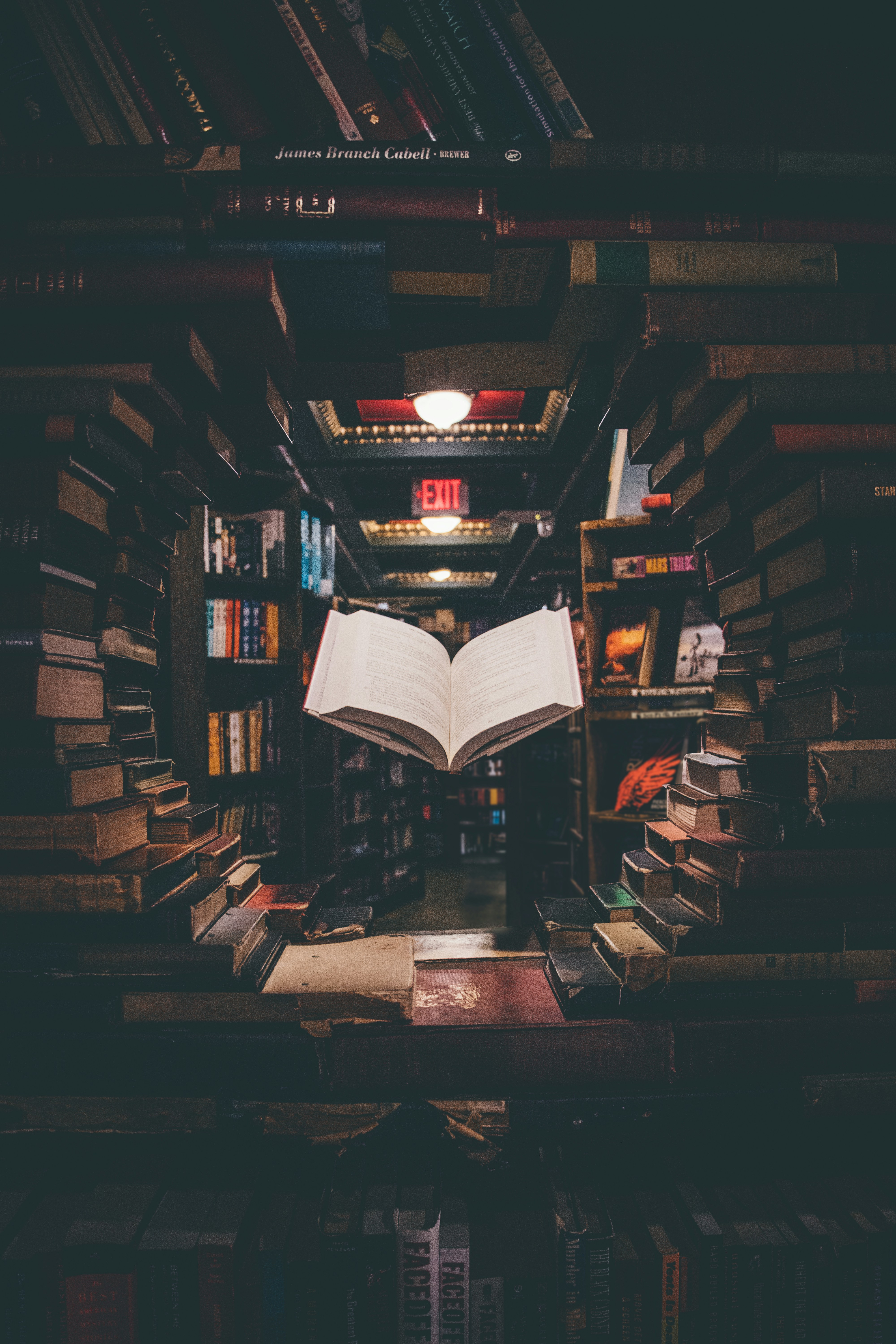 The Book Of The Watchers