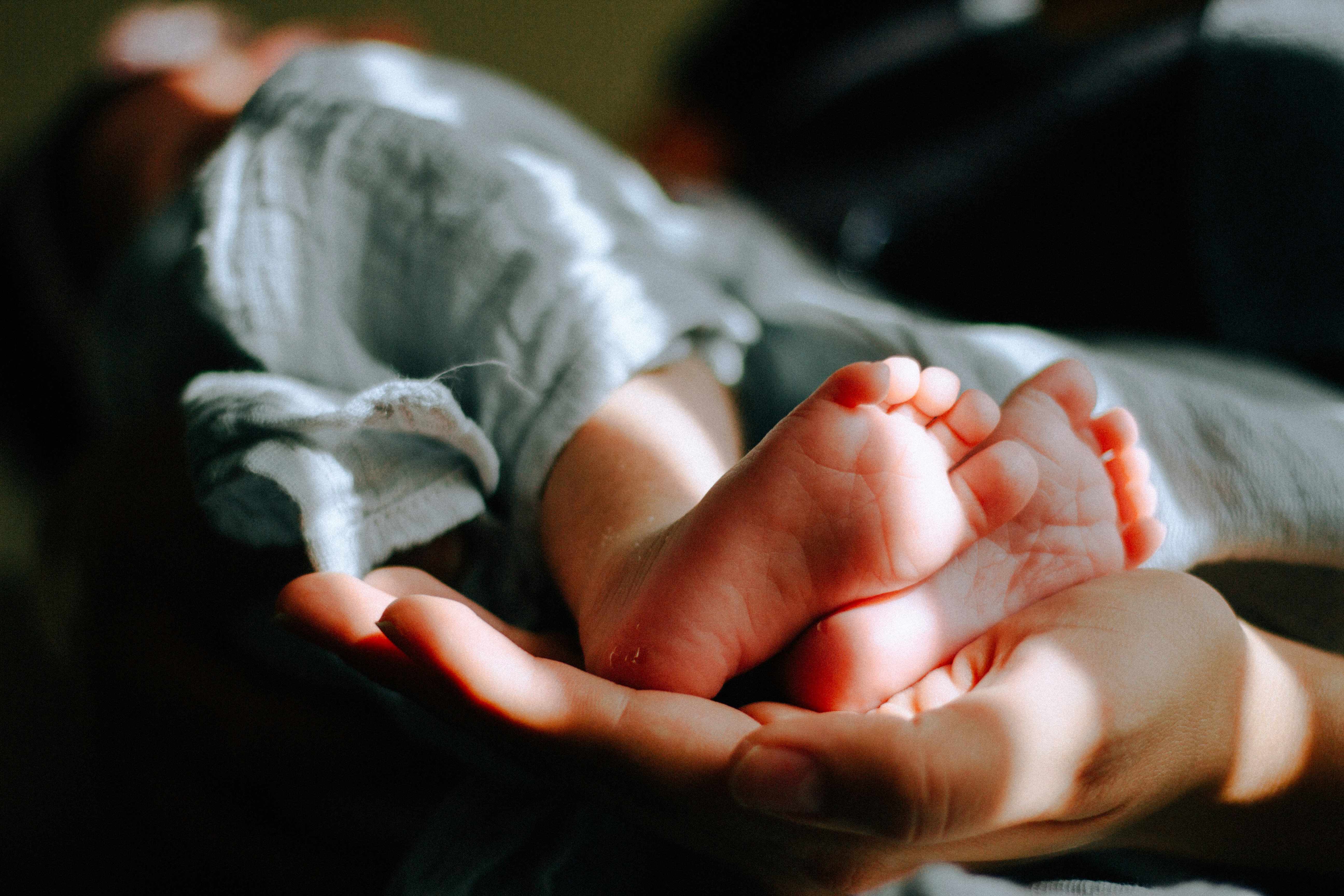 The Postpartum reset- e book