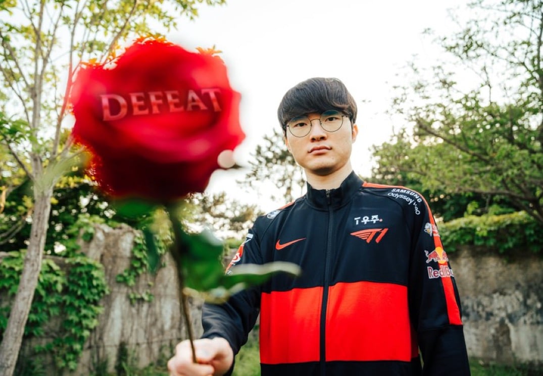 Zeraph picks