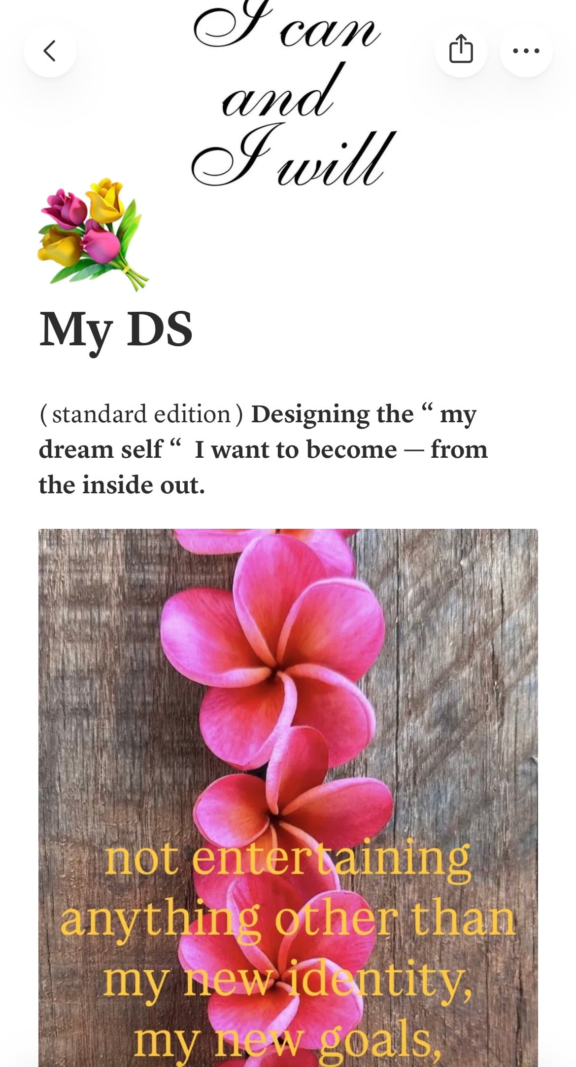 Dream Self Project: 80 Guided Journeys to Meet Who You're Becoming (For Him)