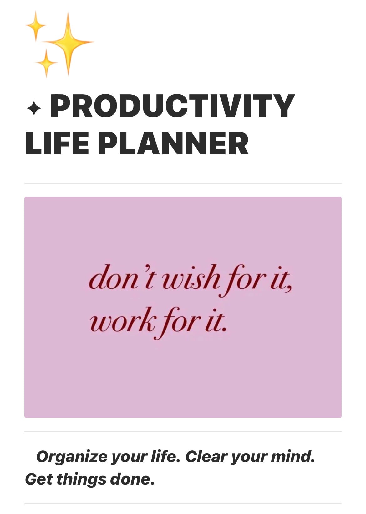 ✦ PRODUCTIVITY LIFE PLANNER