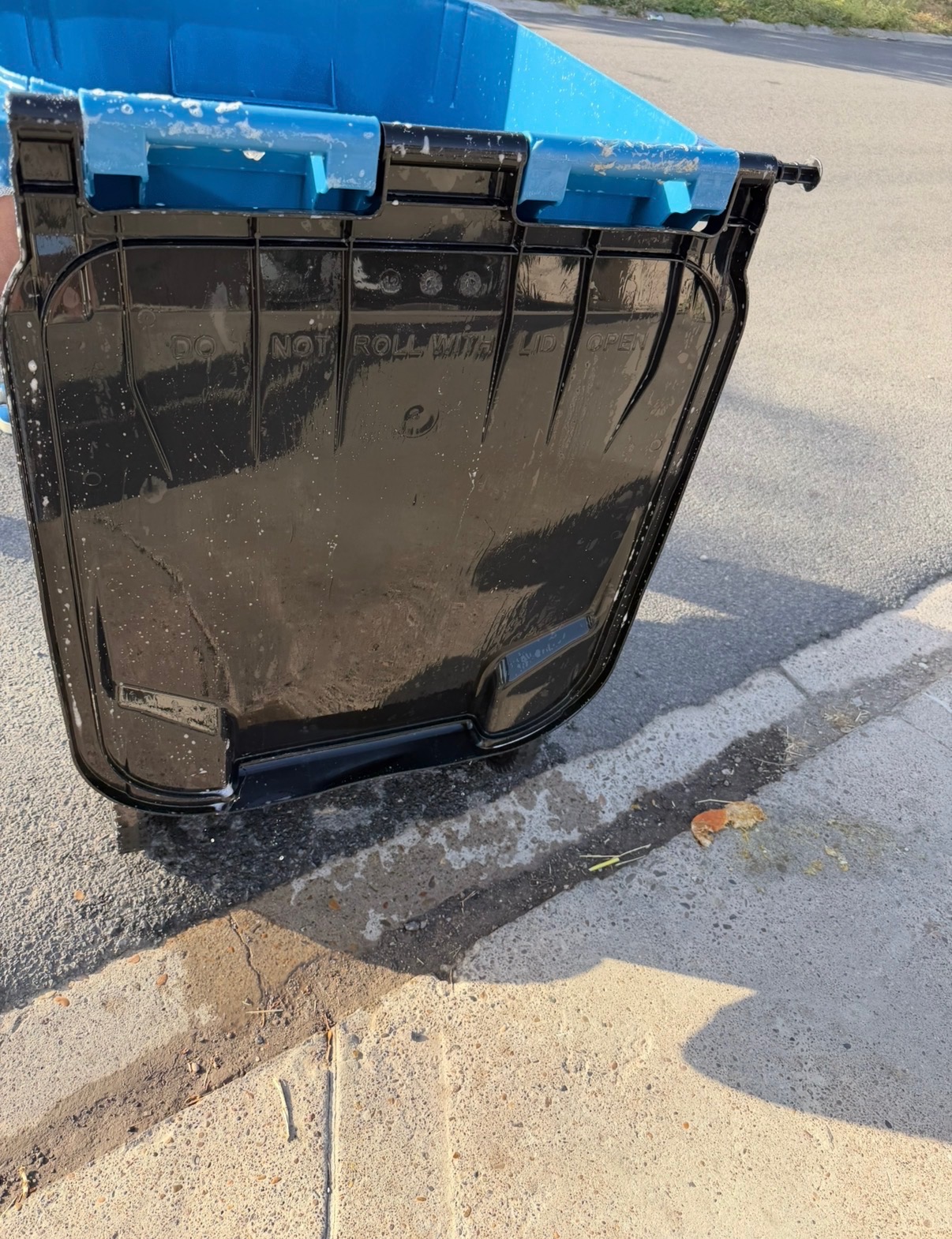 trash cleaning 