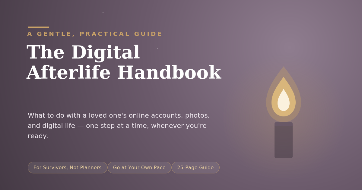 Digital Afterlife Handbook: What to Do With a Loved One's Accounts 