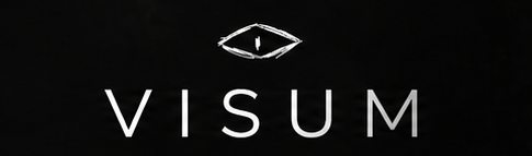 Visum Concepts banner