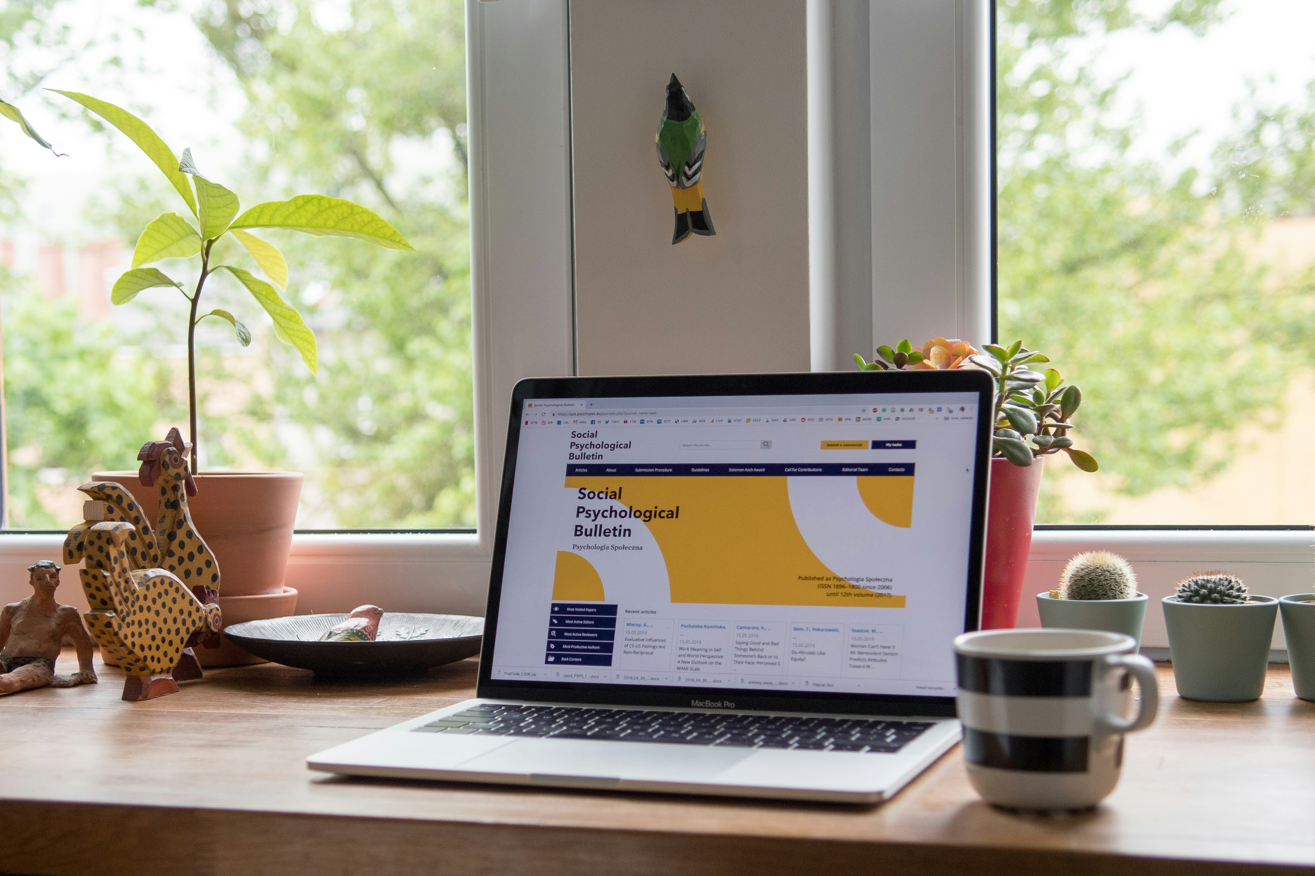 WordPress Speed Optimization