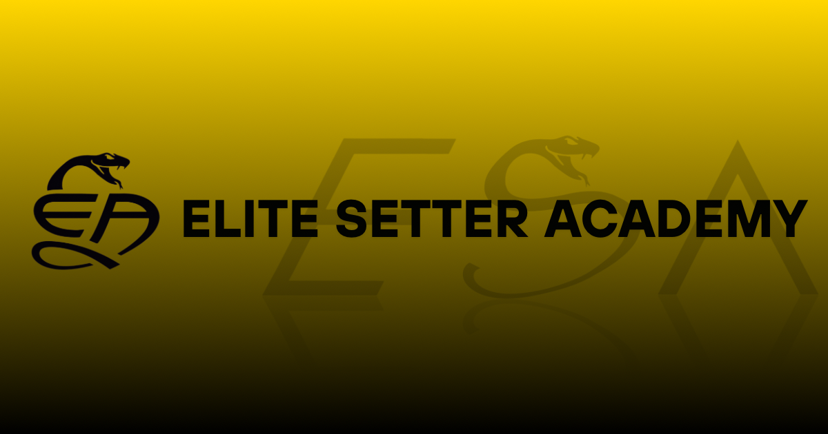 Elite Setter Academy