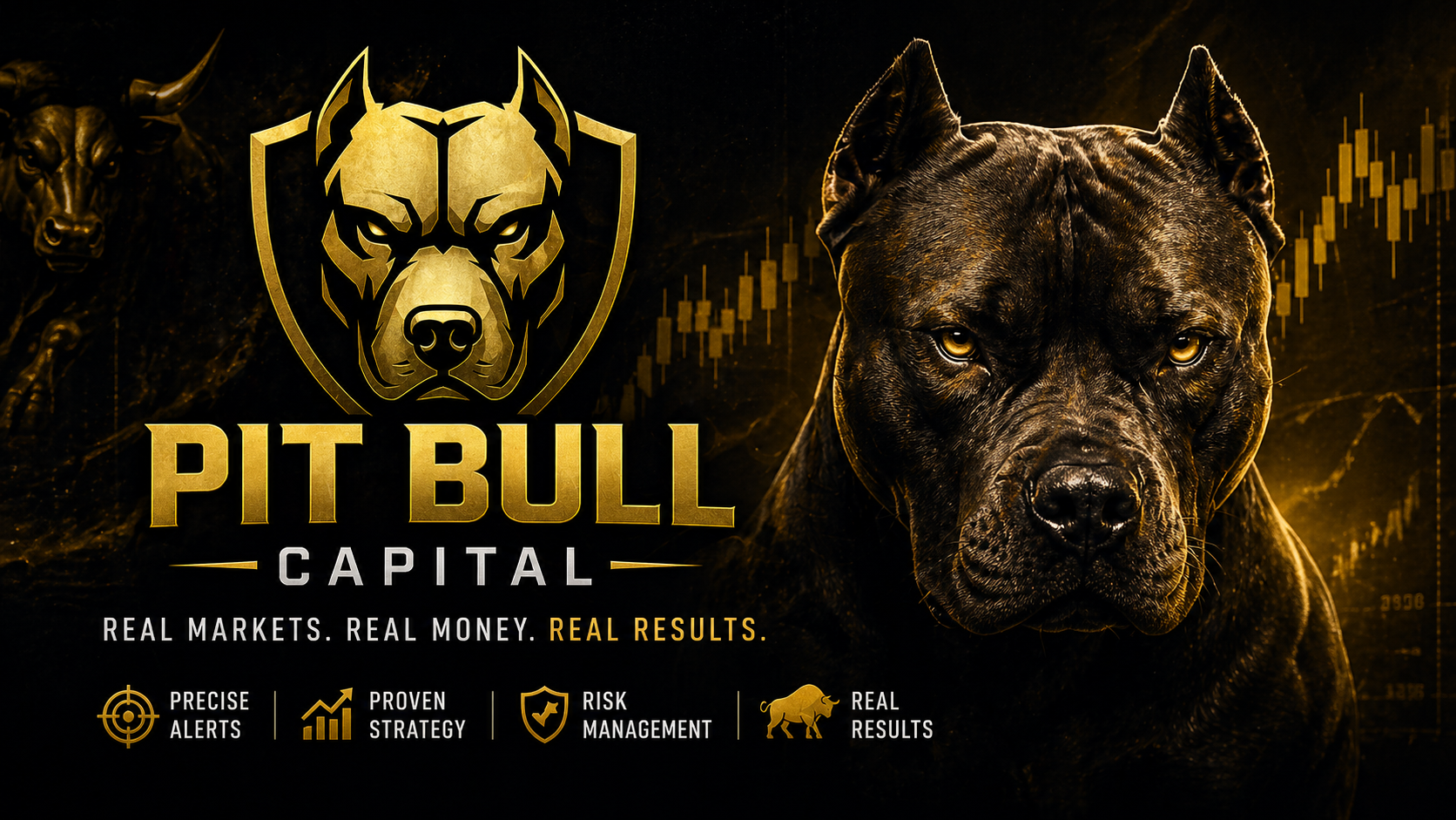 Pit Bull Capital banner