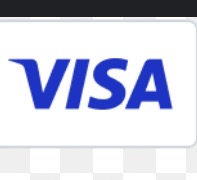 Visa LLC