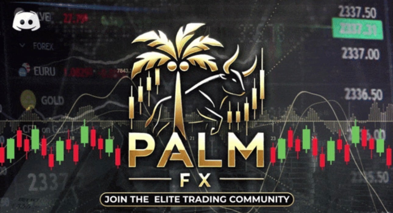 PALM FX banner