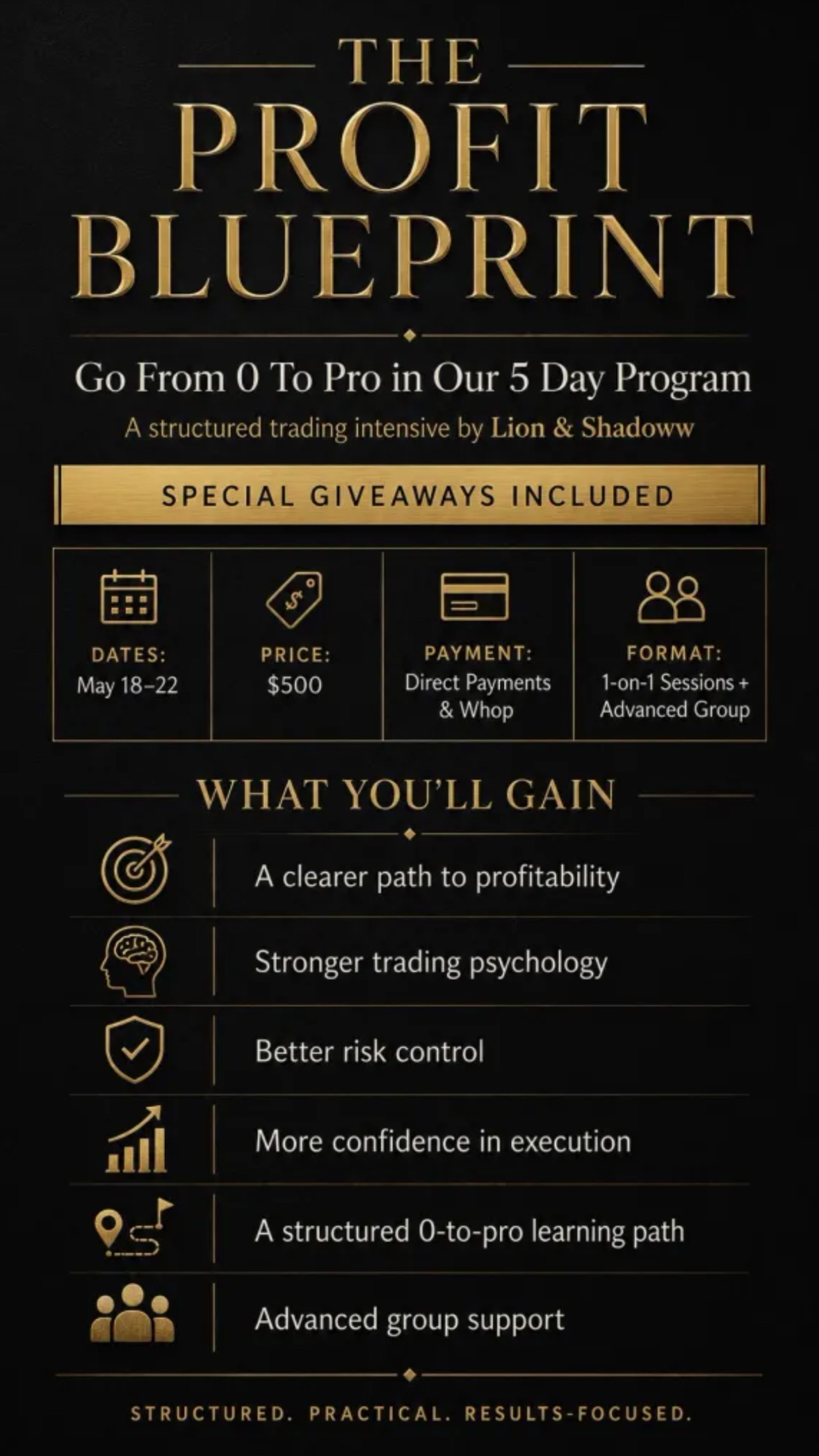 The Profit Blueprint Group Mentorship sessions 