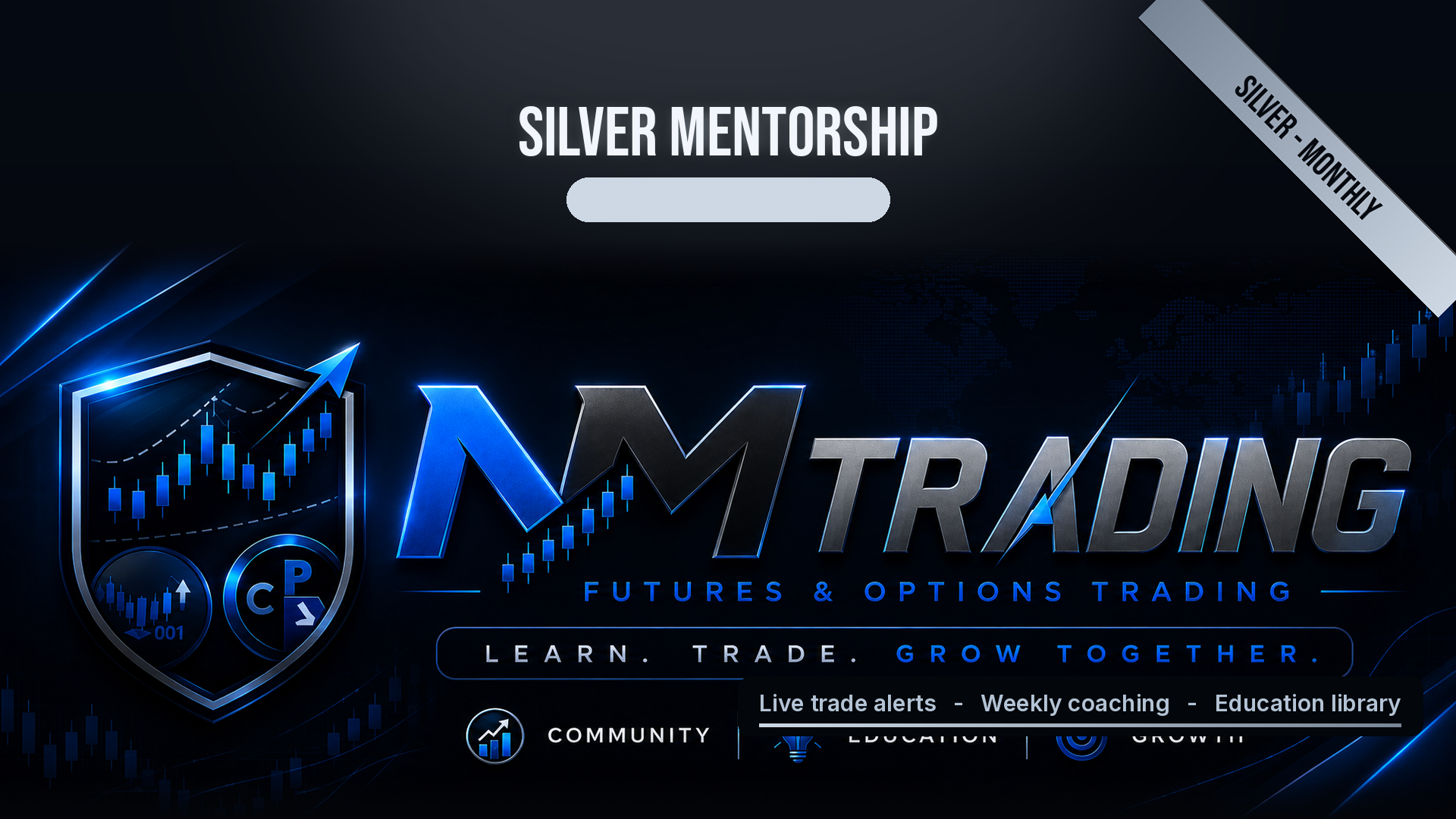 Silver Level Mentorship (Monthly)