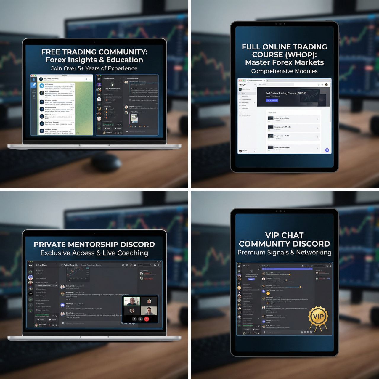 Storm Trading Group Vip Community