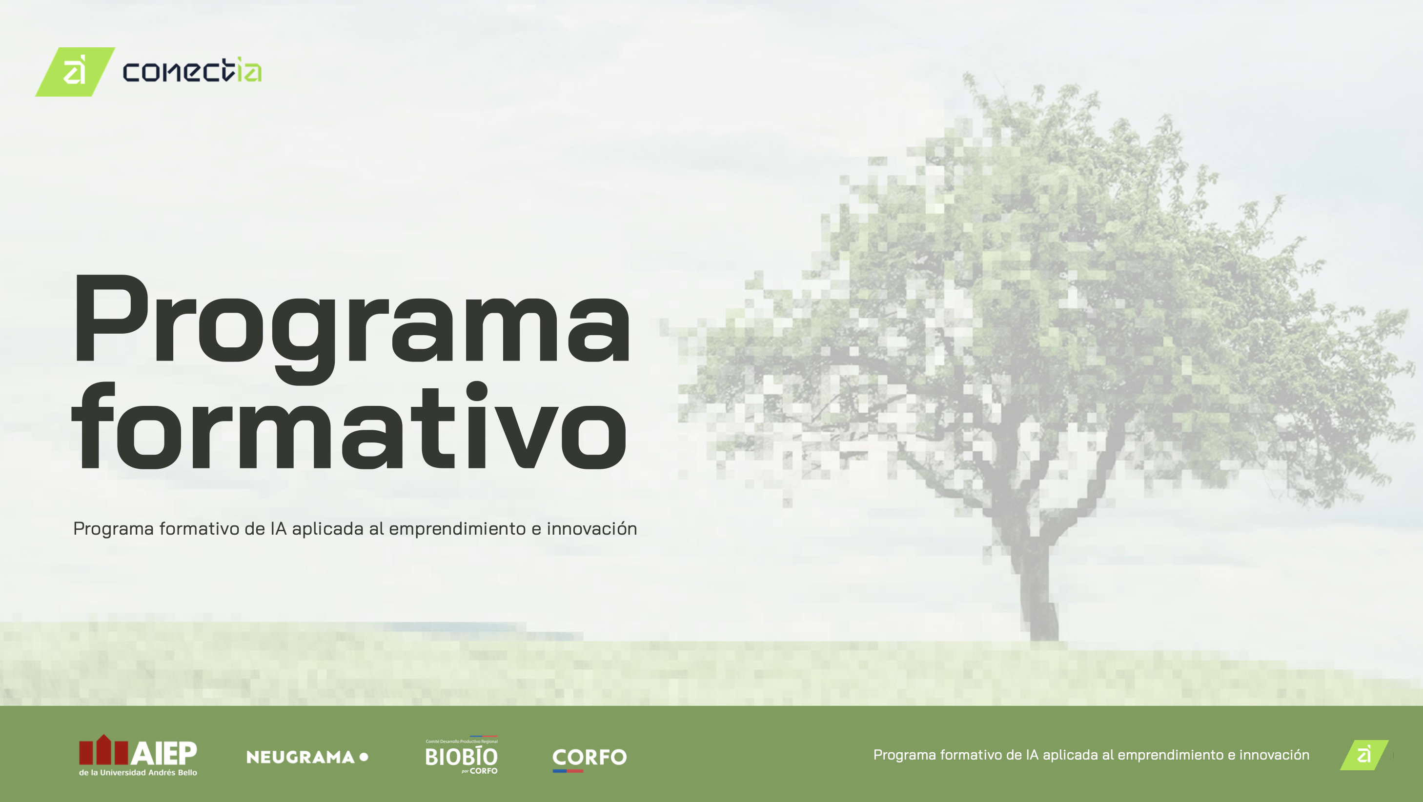 Programa Formación en IA Aplicada