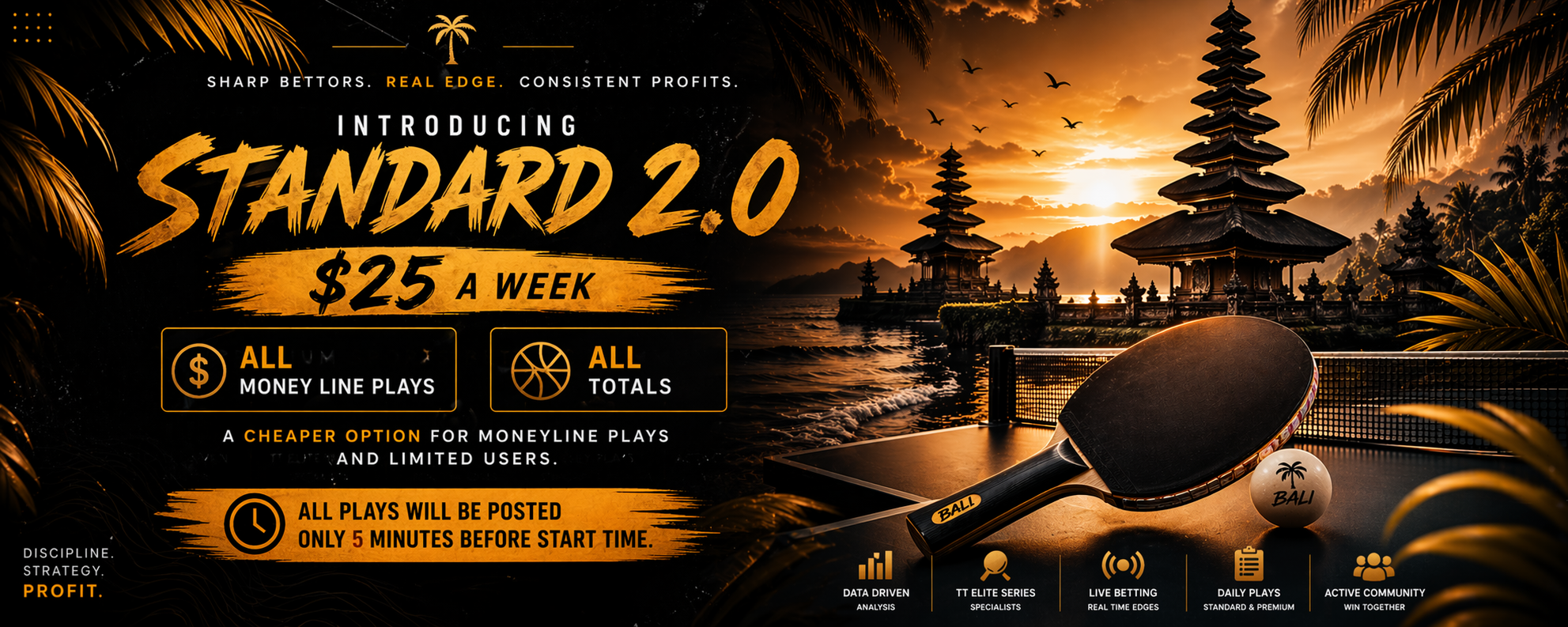 Bali HQ Bets 2000+ Units 2025 banner