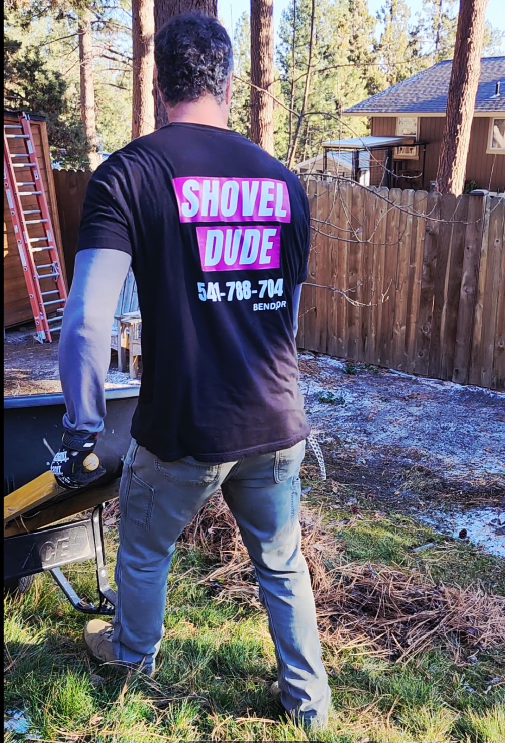 Pine-Needle Clean & Haul Away