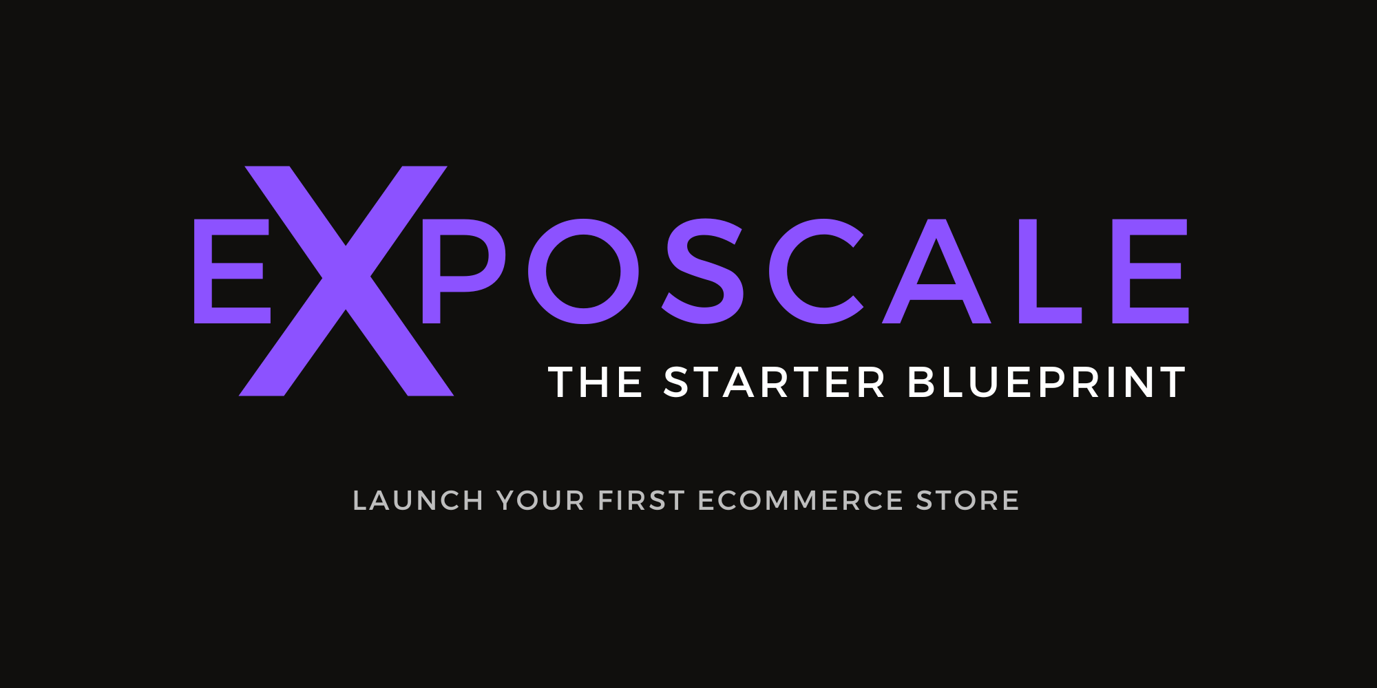 THE STARTER BLUEPRINT