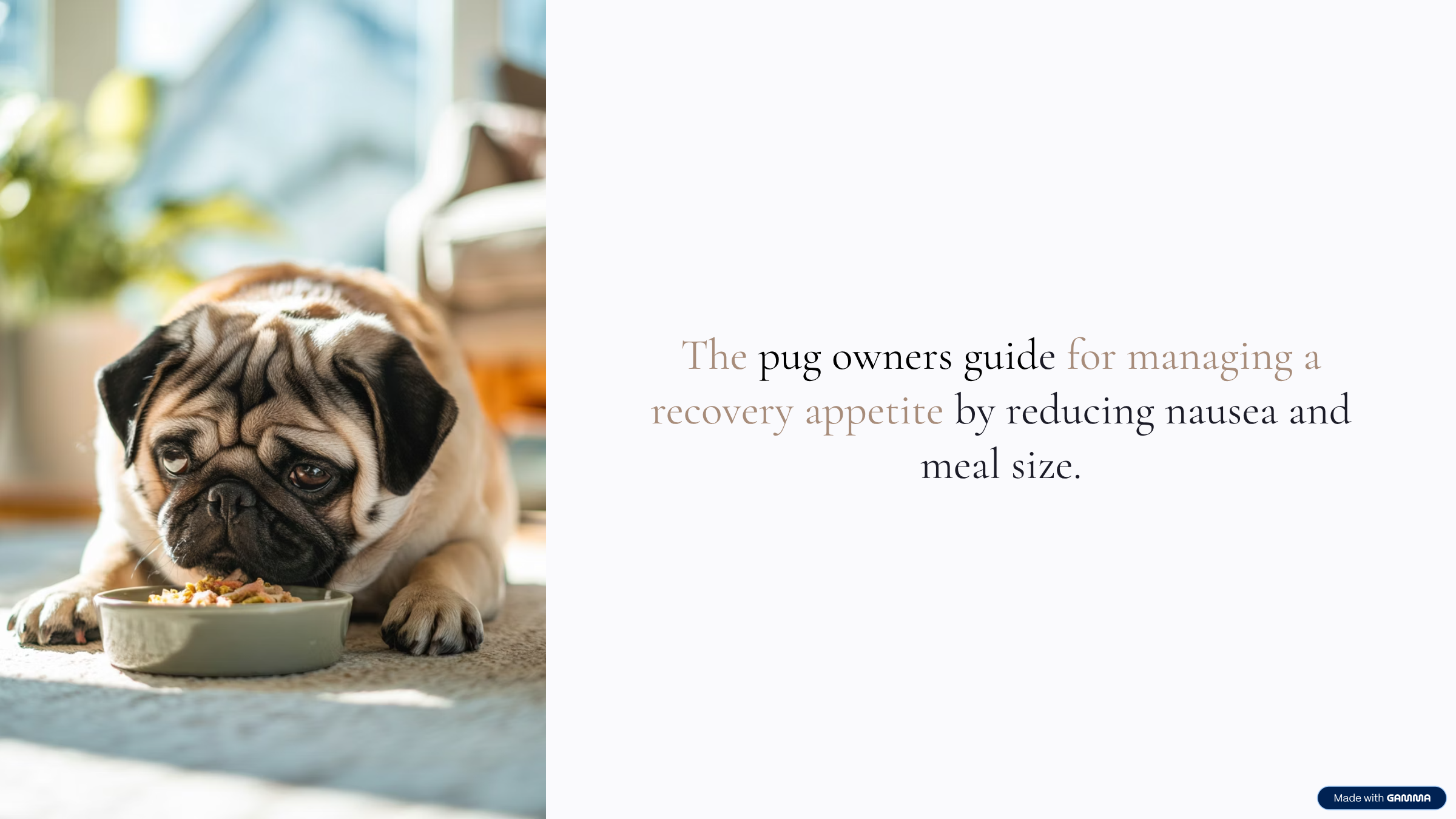 Pug Recovery Guide For Appetite Protection