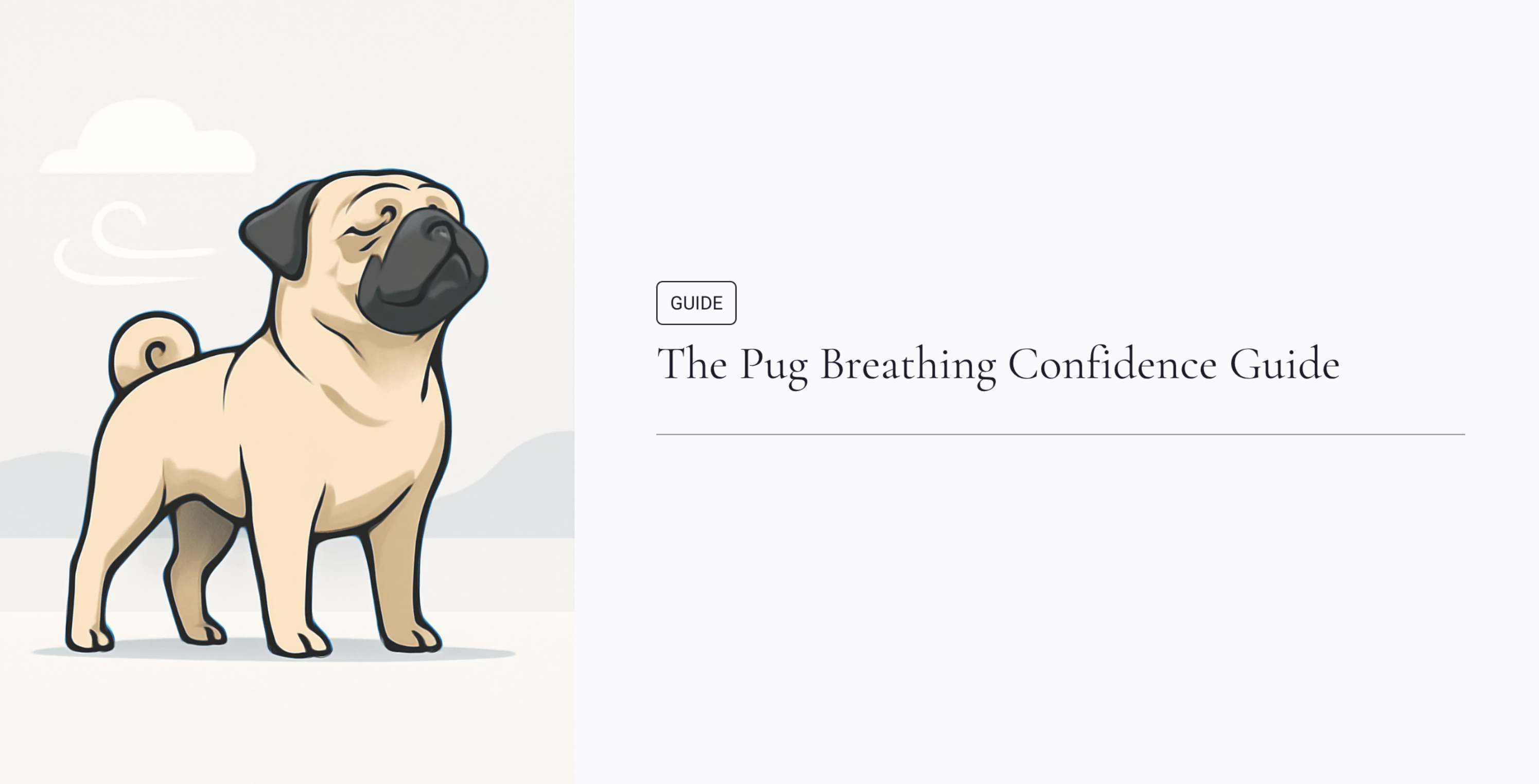 The Pug Breathing Confidence Guide