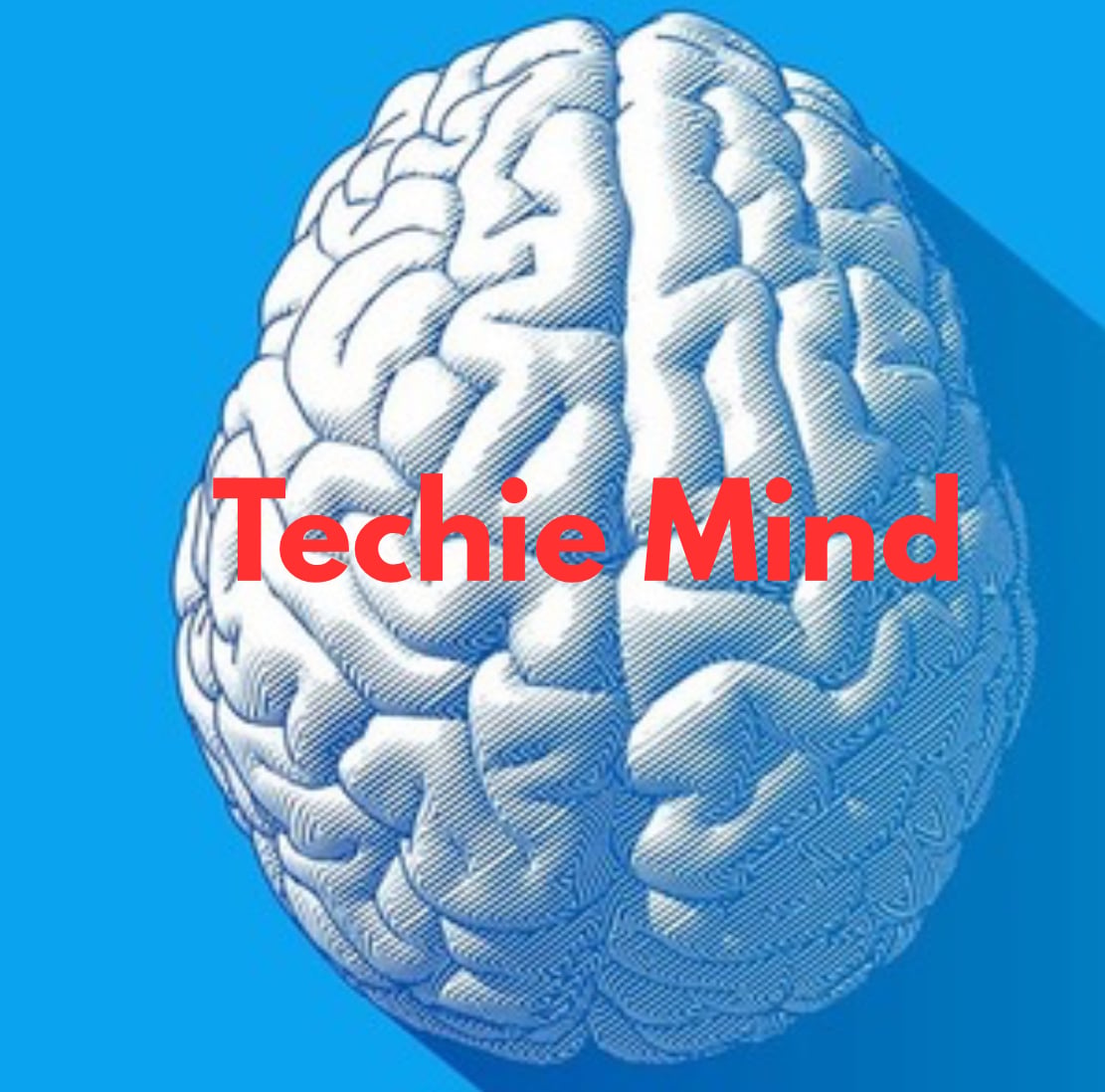 Techie Mind 