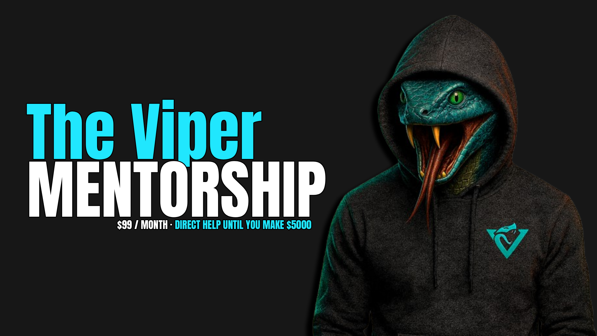 Viper Mentorship