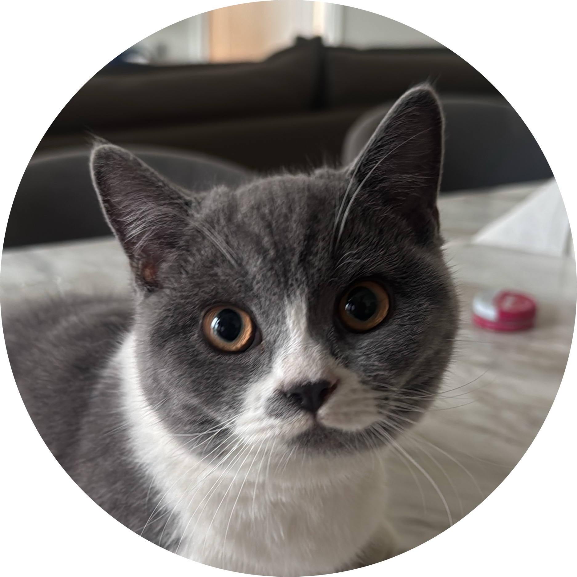Profile picture