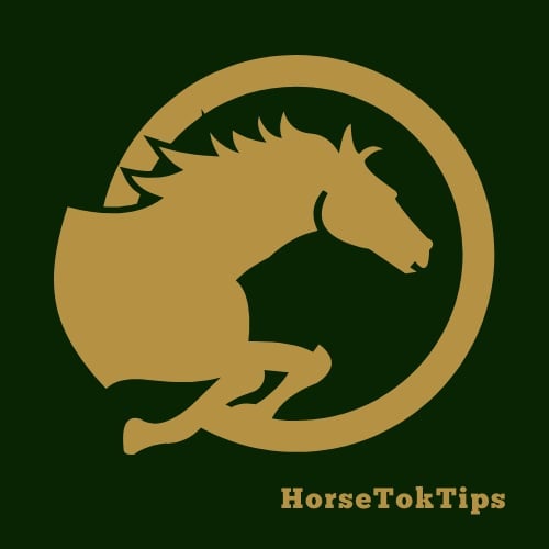HorseTokTips
