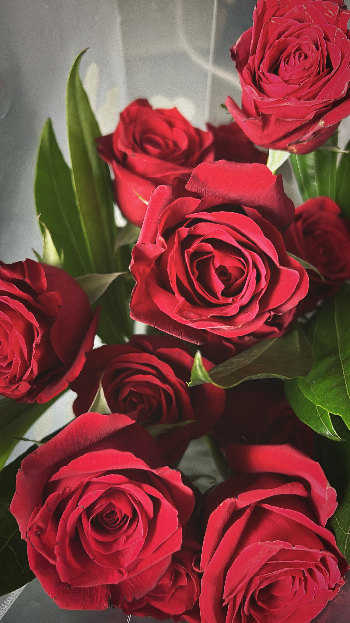 best of the best clips 