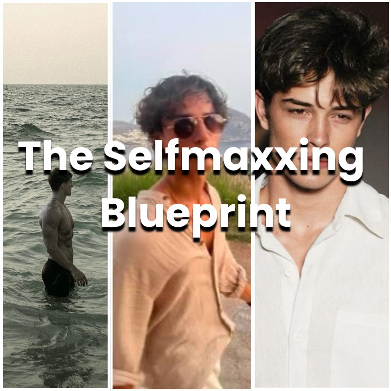 Selfmaxxing Blueprint (FREE)