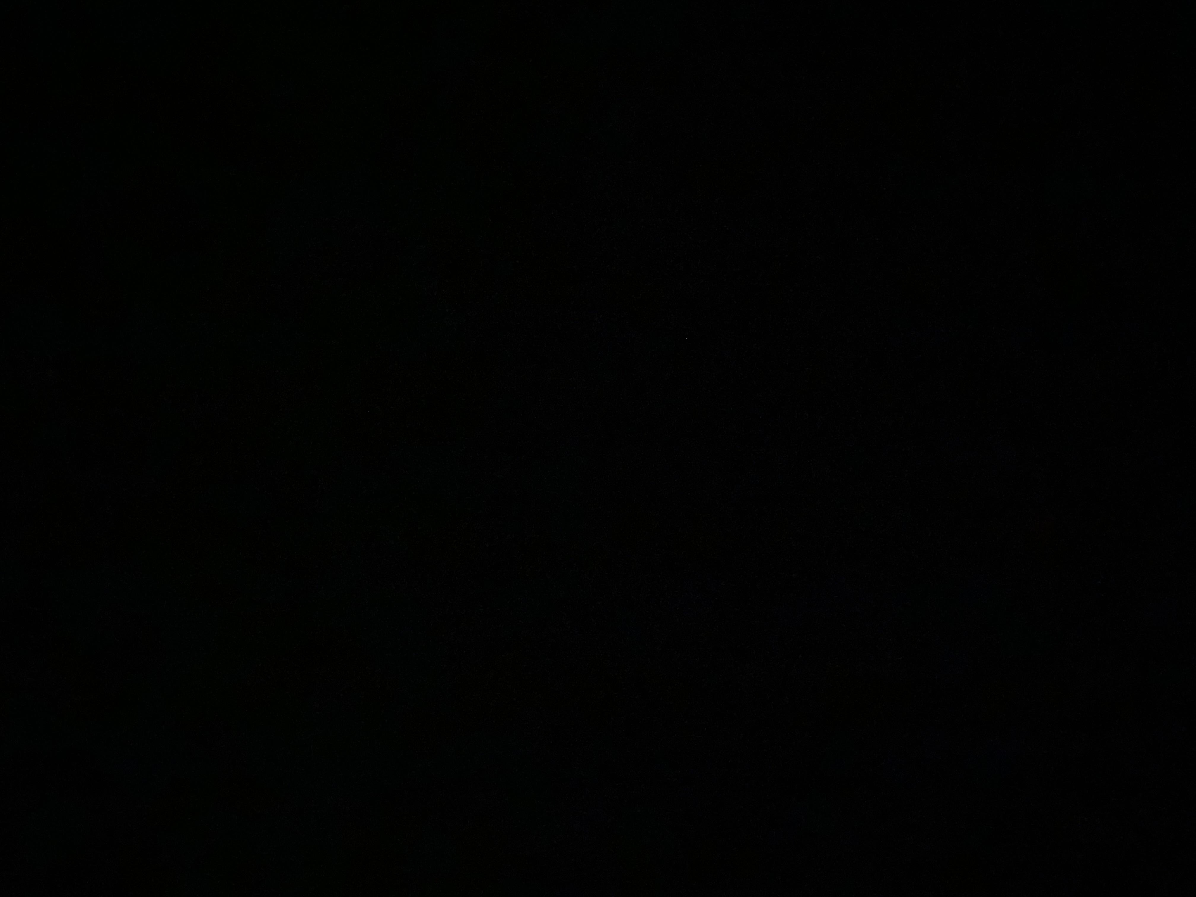 Dub Dynasty Sport Picks 